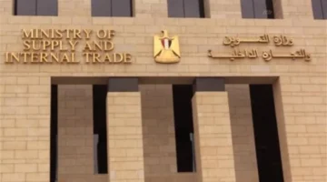 تحديث بطاقات التموين.. إجراءات جديدة تحمي دعمك من الإيقاف خلال عام 2026